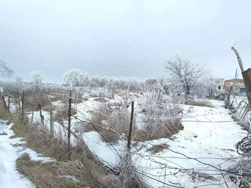 Участок в Ростовская область, Ростов-на-Дону Кумженское СНТ, ул. 6-я ... - Фото 1