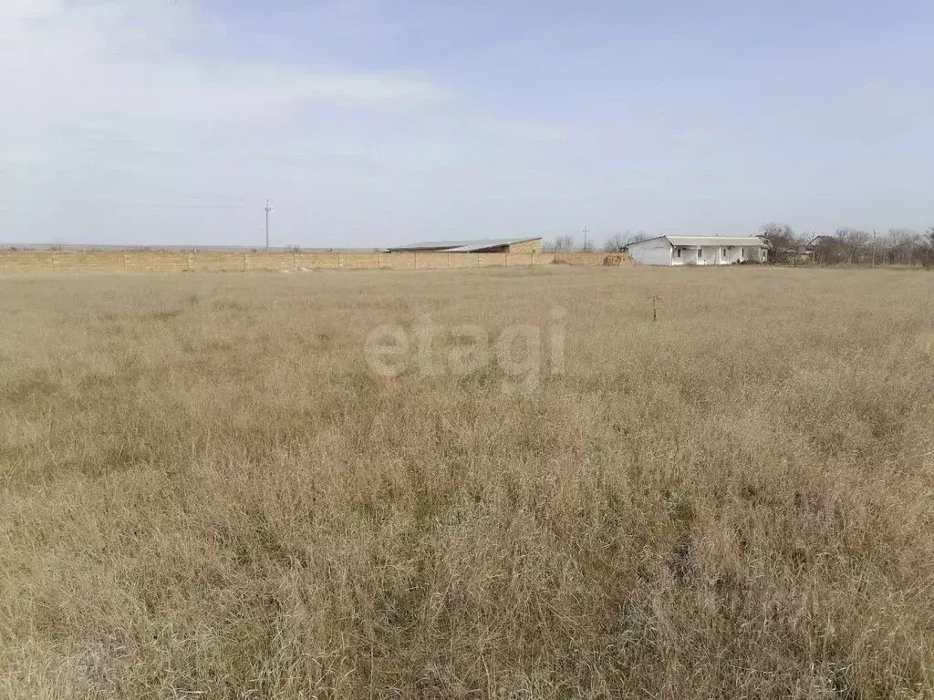 Участок в Крым, Черноморский район, Окуневское с/пос, с. Марьино  ... - Фото 1