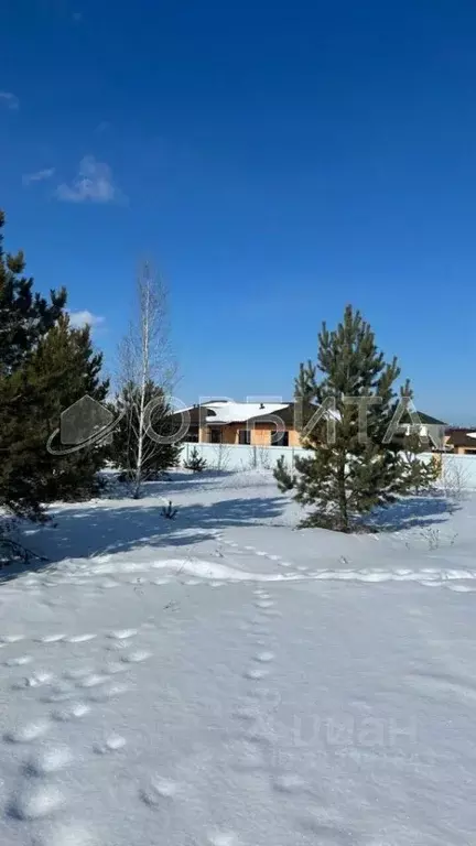 Участок в Тюменская область, Тюменский район, Новокаменский кп  (16.0 ... - Фото 1