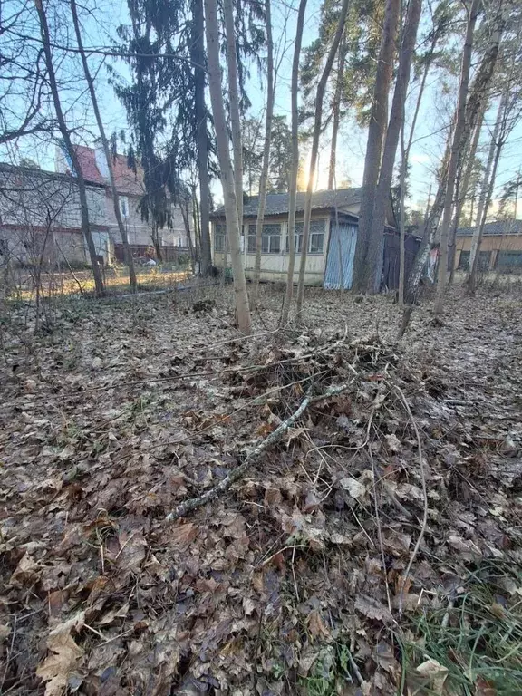 Участок в Московская область, Щелково городской округ, Загорянский пгт ... - Фото 2