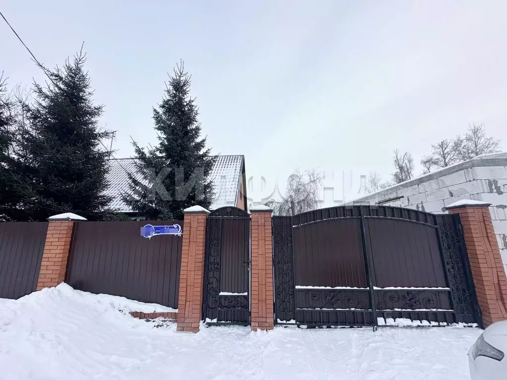 Дом в Новосибирская область, Новосибирский район, с. Боровое ул. Мира ... - Фото 2