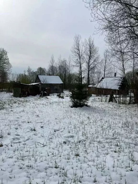 Дом в Новгородская область, Новгородский район, Пролетарское городское ... - Фото 1