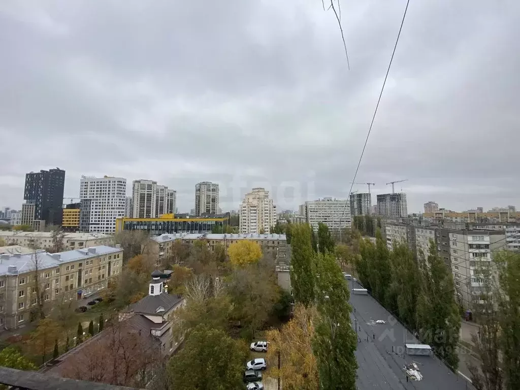 1-к кв. Воронежская область, Воронеж ул. Моисеева, 44 (32.8 м) - Фото 1