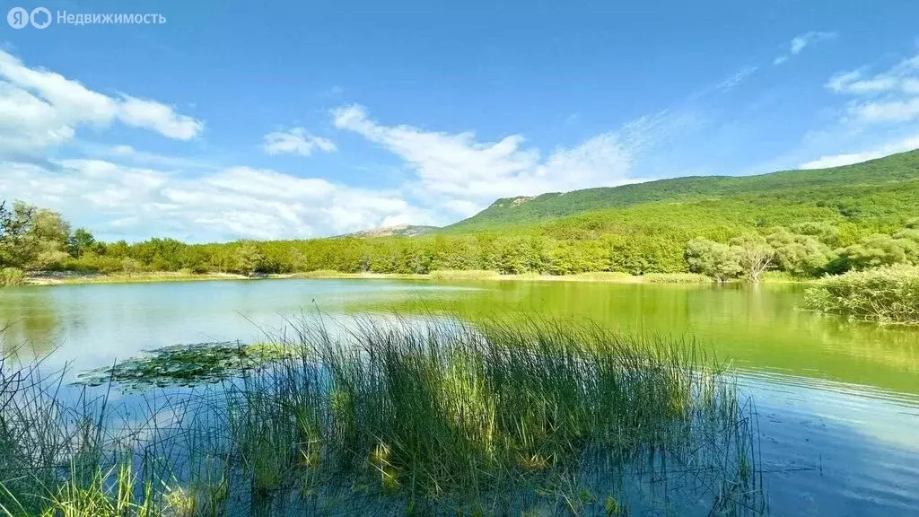 Участок в Орлиновский муниципальный округ, село Кизиловое, ... - Фото 2