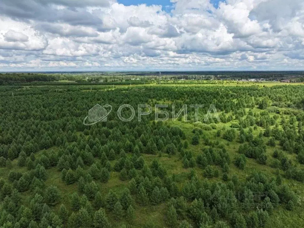 Участок в Свердловская область, Талицкий муниципальный округ, д. ... - Фото 0