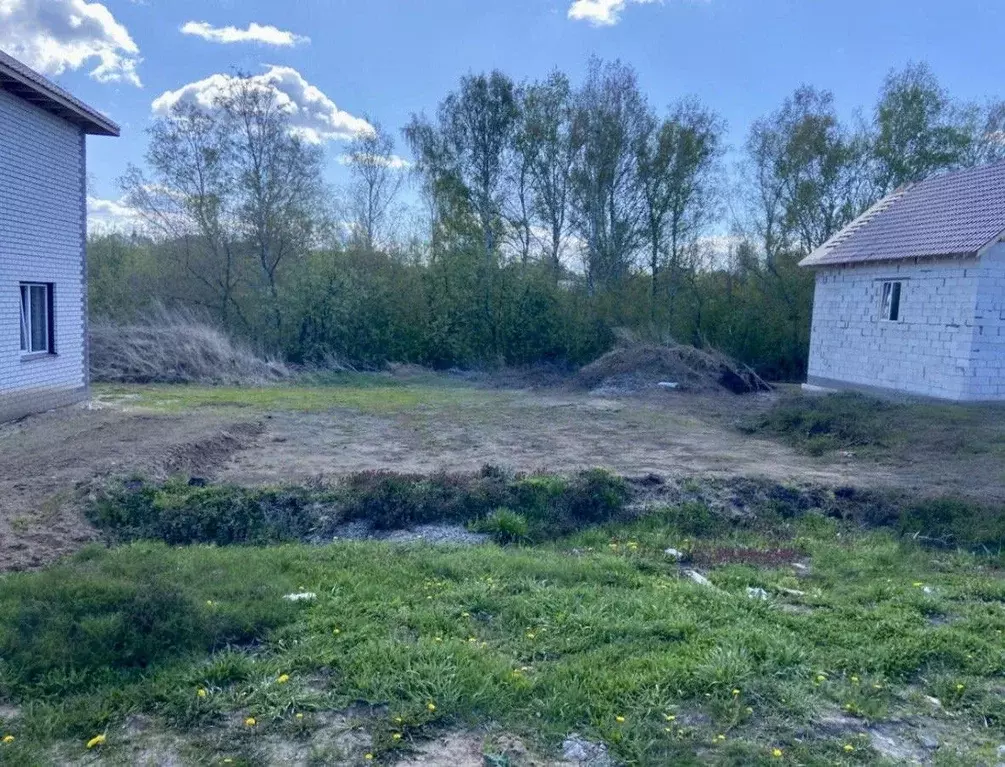 Участок в Алтайский край, Барнаул городской округ, пос. Бельмесево ул. ... - Фото 2