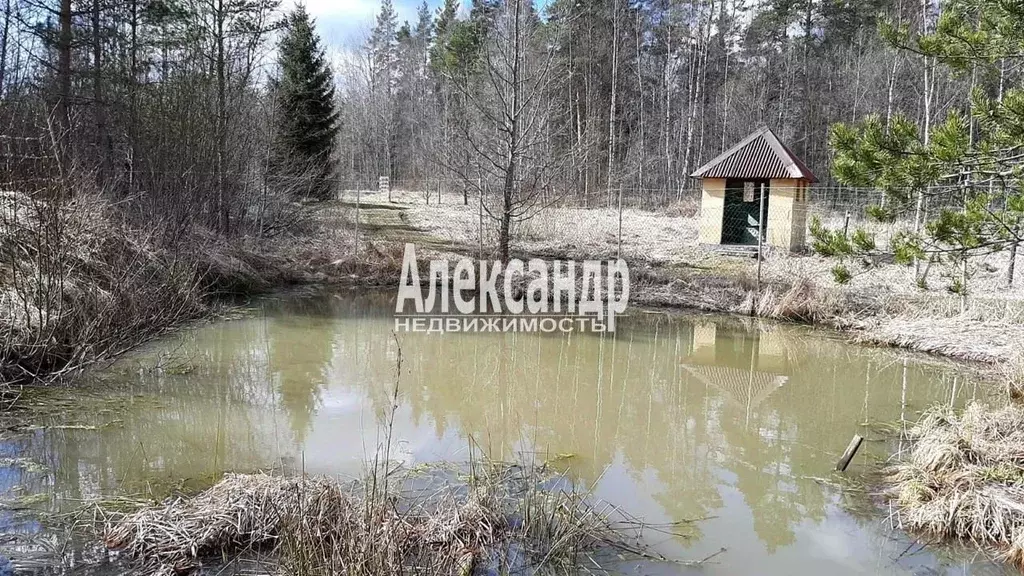 Дом в Ленинградская область, Выборгский район, Каменногорское ... - Фото 1