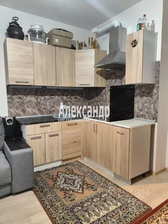 Студия Ленинградская область, Мурино Всеволожский район, ул. Шоссе в ... - Фото 1