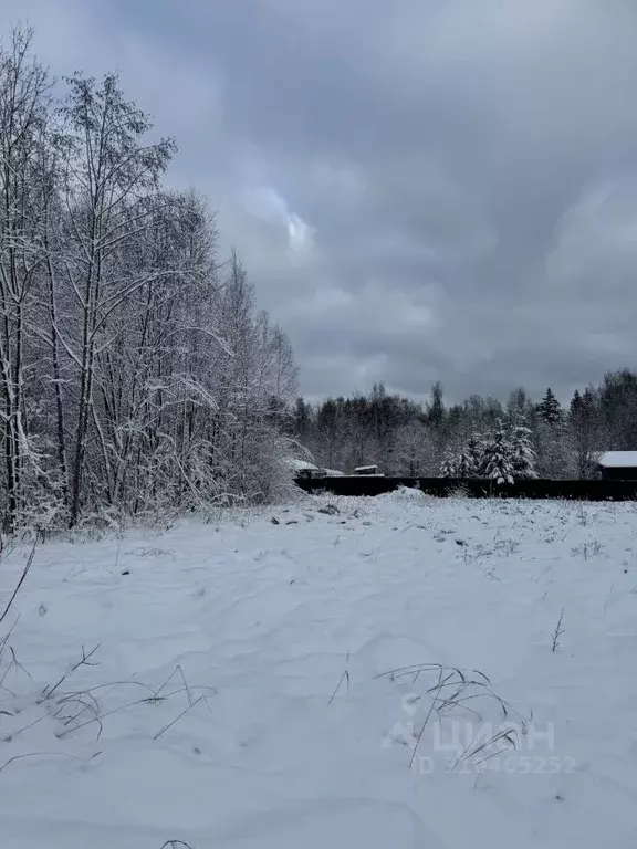 Участок в Московская область, Истра городской округ, д. Дубровское  ... - Фото 0