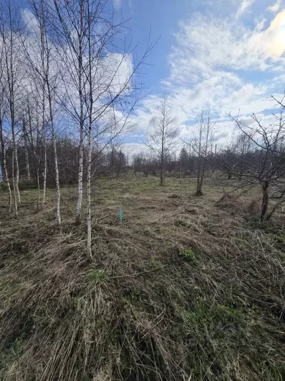 Участок в Московская область, Одинцовский городской округ, пос. ... - Фото 2