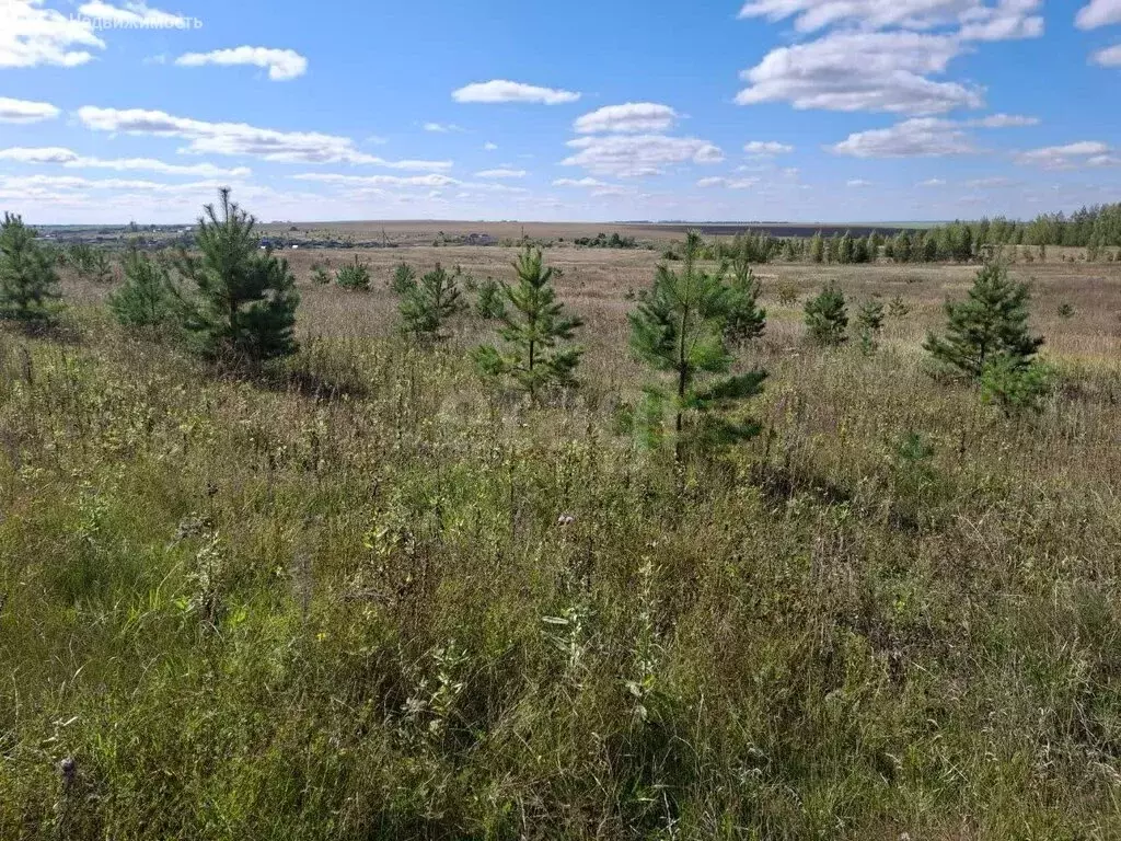 Участок в село Новая Пырма, Сосновая улица (10.55 м) - Фото 2