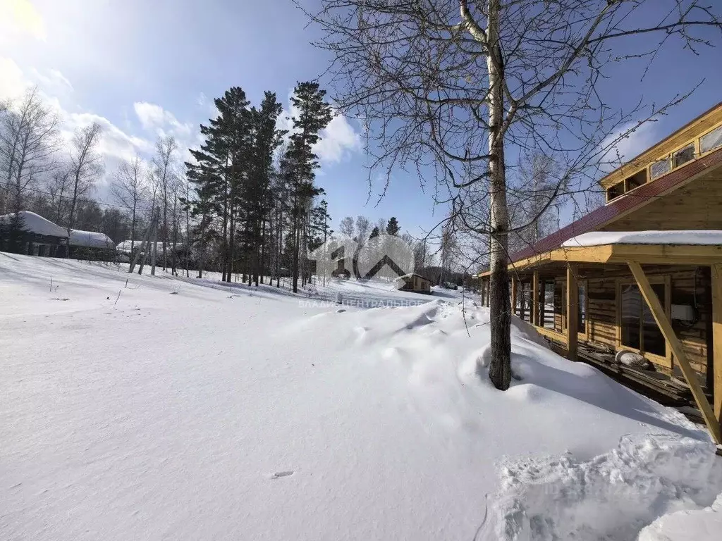 Участок в Новосибирская область, Новосибирский район, Барышевский ... - Фото 1