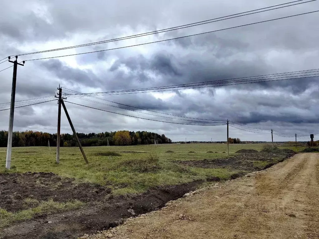 Участок в Ленинградская область, Ломоносовский район, Лопухинское ... - Фото 0