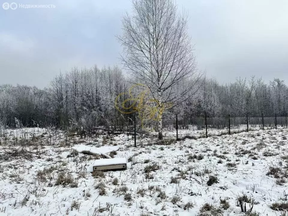 Участок в Высоковск, Васильковая улица (15 м) - Фото 1