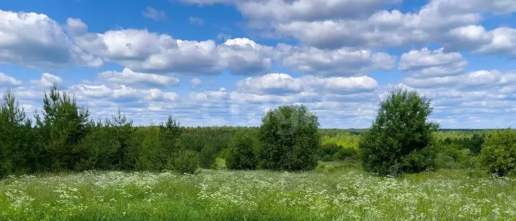 Участок в Вологодская область, Сокольский муниципальный округ, д. ... - Фото 1