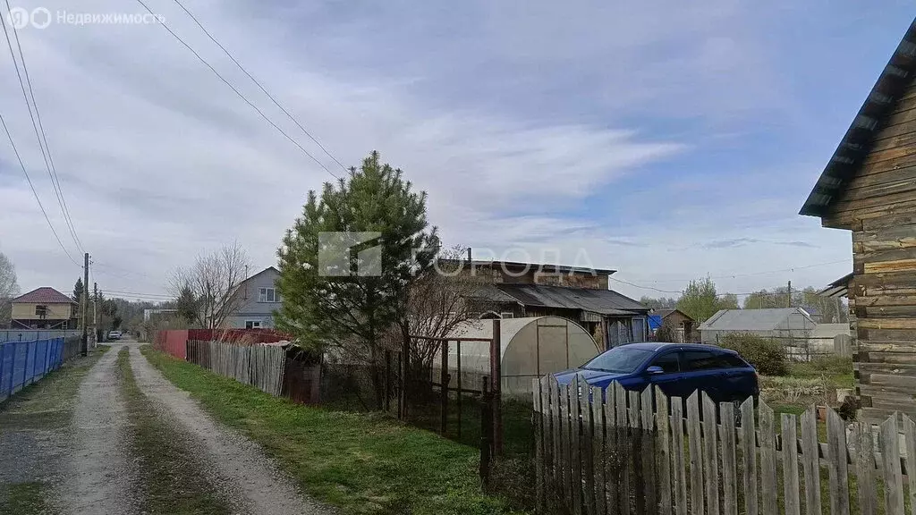 Участок в Новосибирская область, Коченёвский муниципальный район, ... - Фото 1