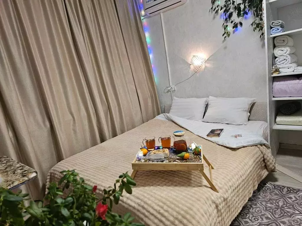 Студия Приморский край, Владивосток Некрасовская ул., 50 (18.0 м) - Фото 0
