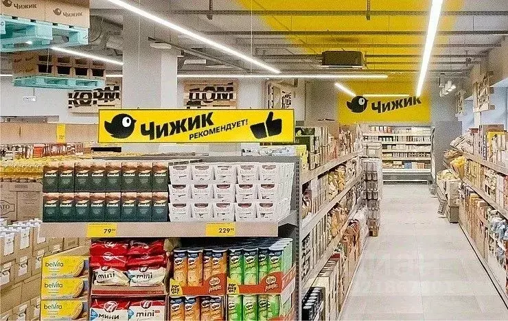 Торговая площадь в Ростовская область, Ростов-на-Дону Вятская ул., 88 ... - Фото 0