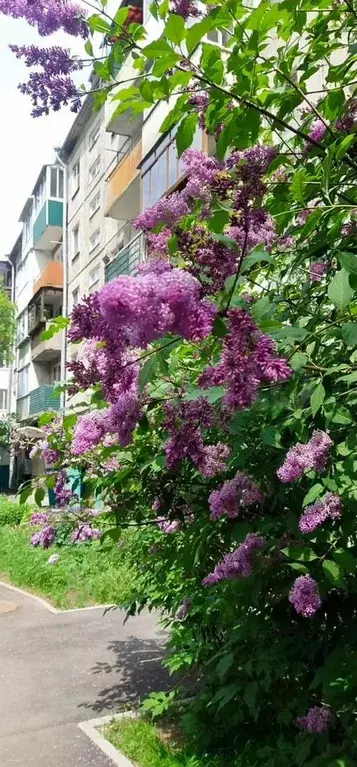 2-к. квартира, 43,1 м, 5/5 эт. - Фото 1