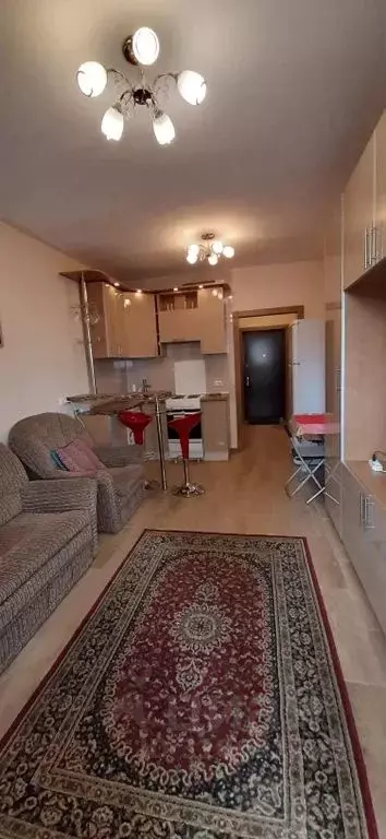 Студия Санкт-Петербург ул. Репищева, 10к1 (26.0 м) - Фото 0