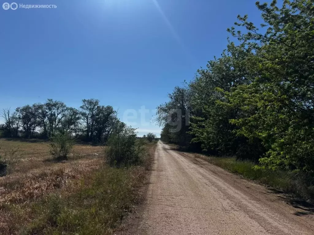 Участок в Симферопольский район, посёлок городского типа Николаевка (6 ... - Фото 1
