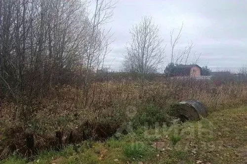 Участок в Новгородская область, Новгородский район, Ракомское с/пос, ... - Фото 2