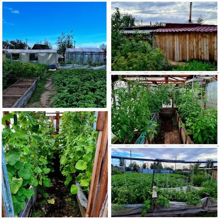 Участок в Саха (Якутия), Жатай городской округ, Жатай рп ул. Озерная ... - Фото 0
