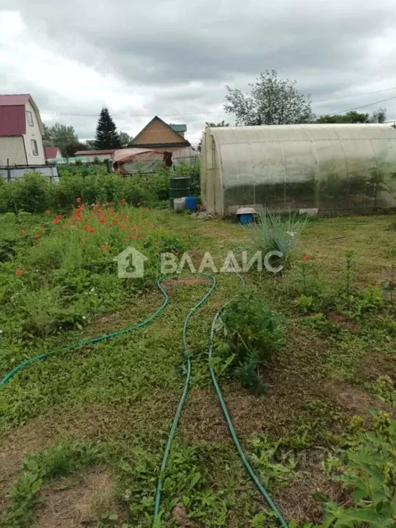 Участок в Новосибирская область, Новосибирский район, с. Кубовая ул. ... - Фото 1