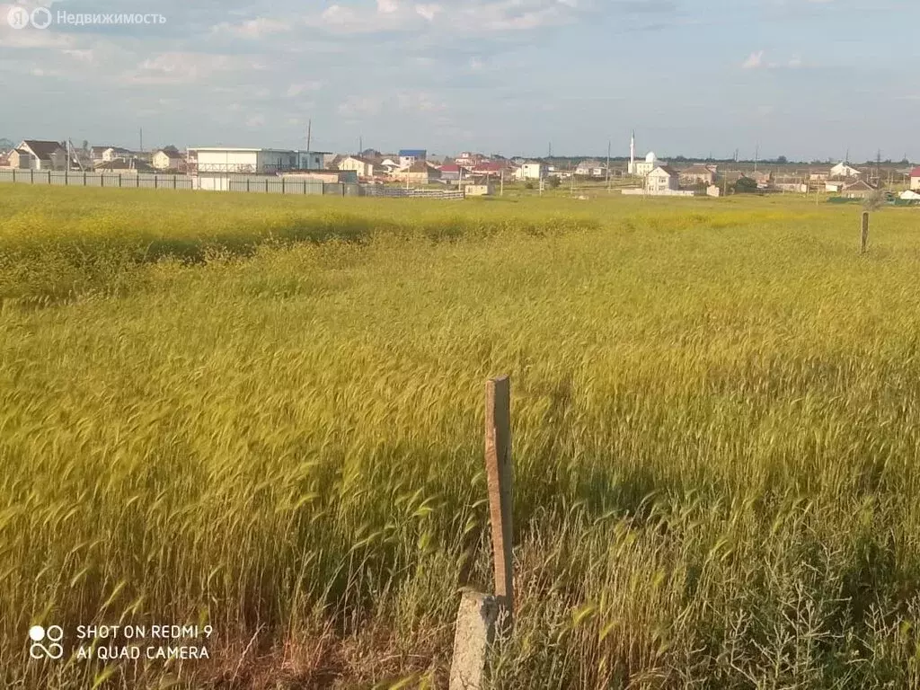 Участок в Береговое, улица Дружбы (10 м) - Фото 2