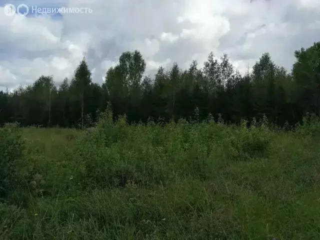 Участок в Одинцовский городской округ, деревня Белозёрово (7.6 м) - Фото 2