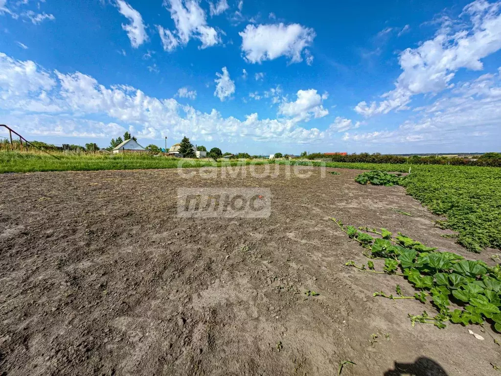 Участок в Ульяновская область, Ульяновский район, с. Большие Ключищи ... - Фото 1