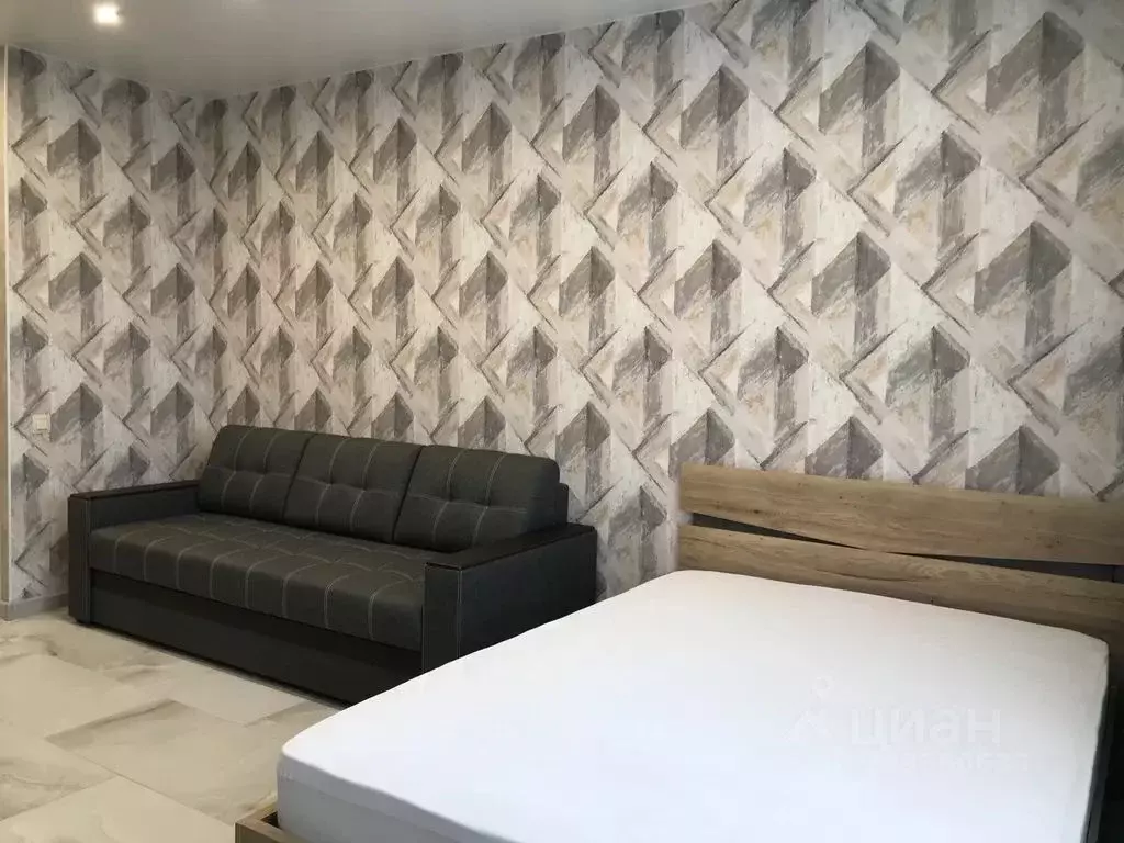 Студия Татарстан, Казань Тэцевская ул., 4В (28.0 м) - Фото 2