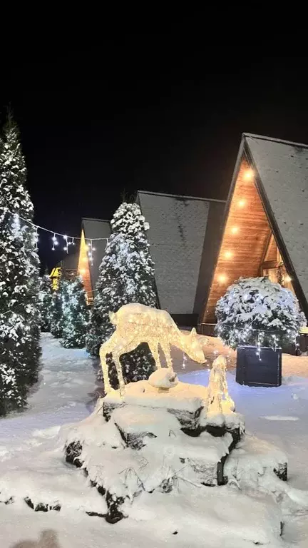 Дом в Ленинградская область, Выборгский район, Красносельское с/пос, ... - Фото 1