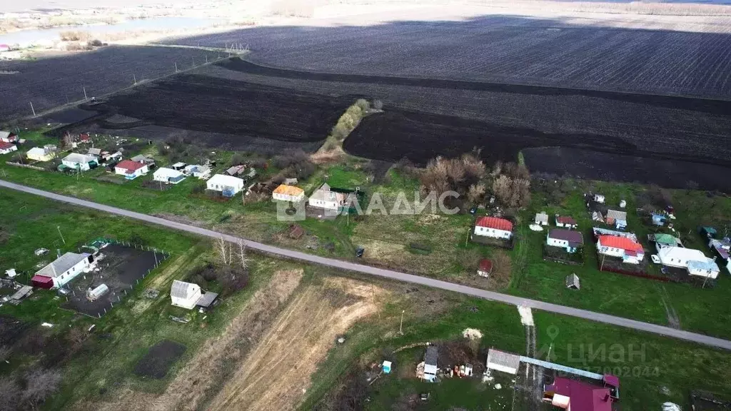 Участок в Воронежская область, Новоусманский район, Нижнекатуховское ... - Фото 2