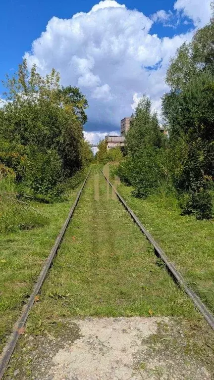 Участок, 100 сот., 0 - Фото 1