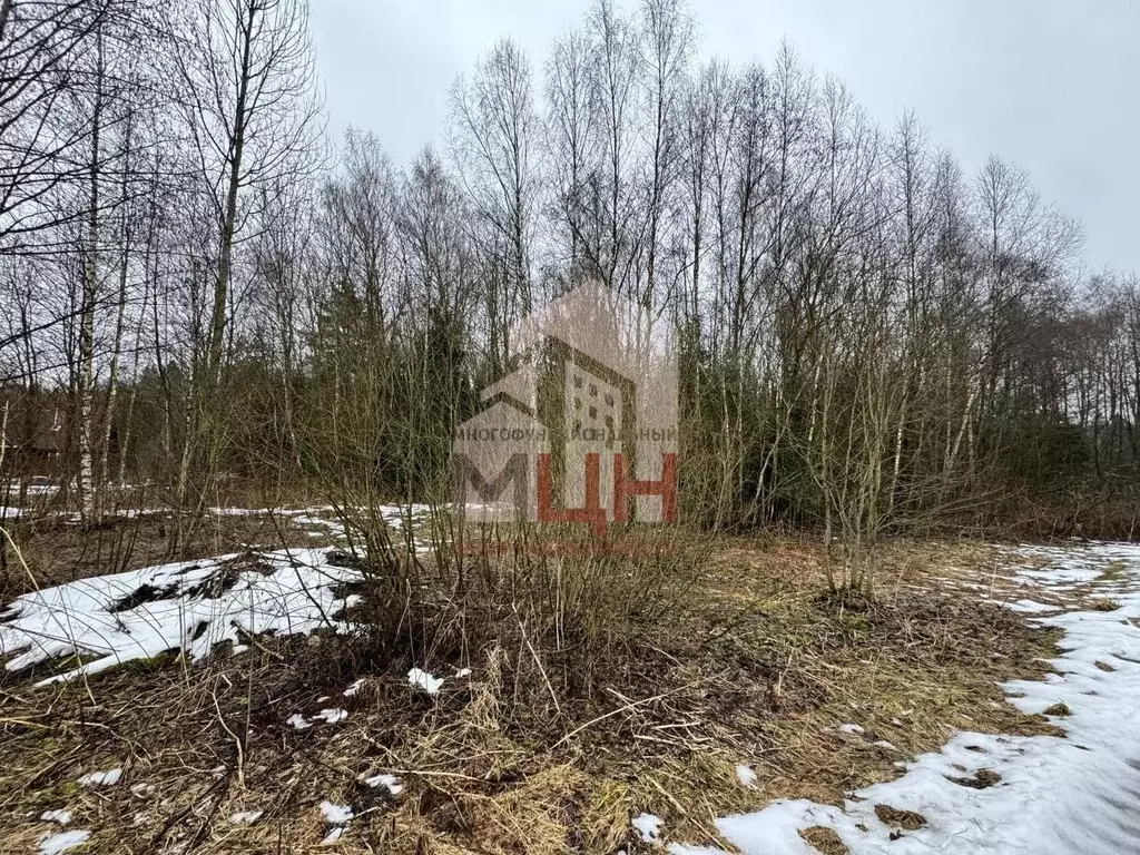 Участок в Тверская область, Конаковский муниципальный округ, Заречье ... - Фото 2
