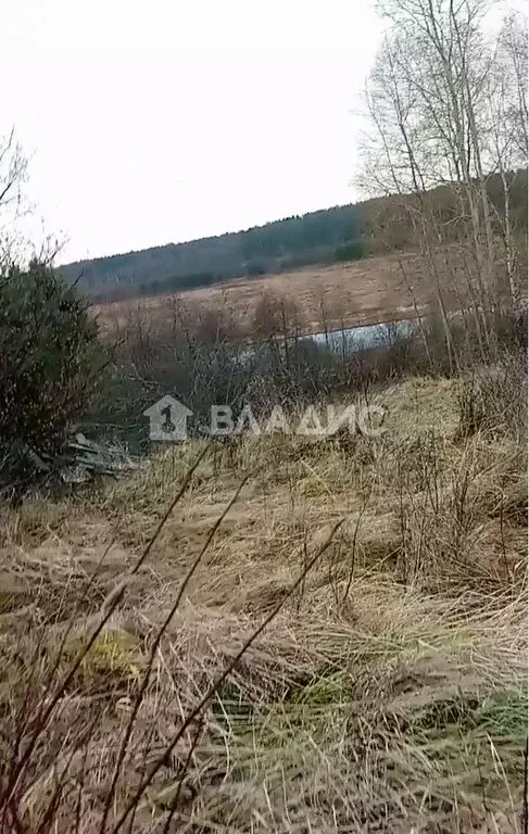 Участок в Нижегородская область, Ветлужский муниципальный округ, ... - Фото 0