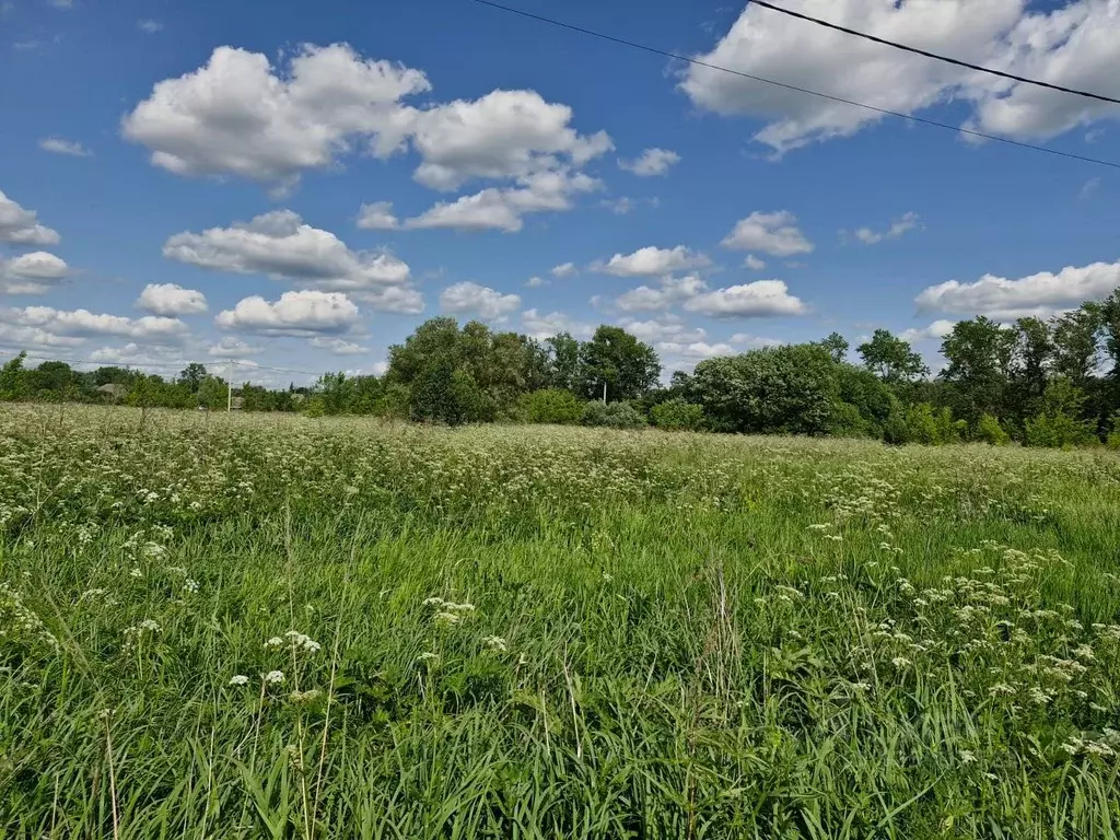 Участок в Московская область, Ступино городской округ, с. Березнецово  ... - Фото 2