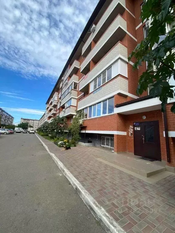 Студия Краснодарский край, Динской район, Южно-Кубанское с/пос, пос. ... - Фото 2