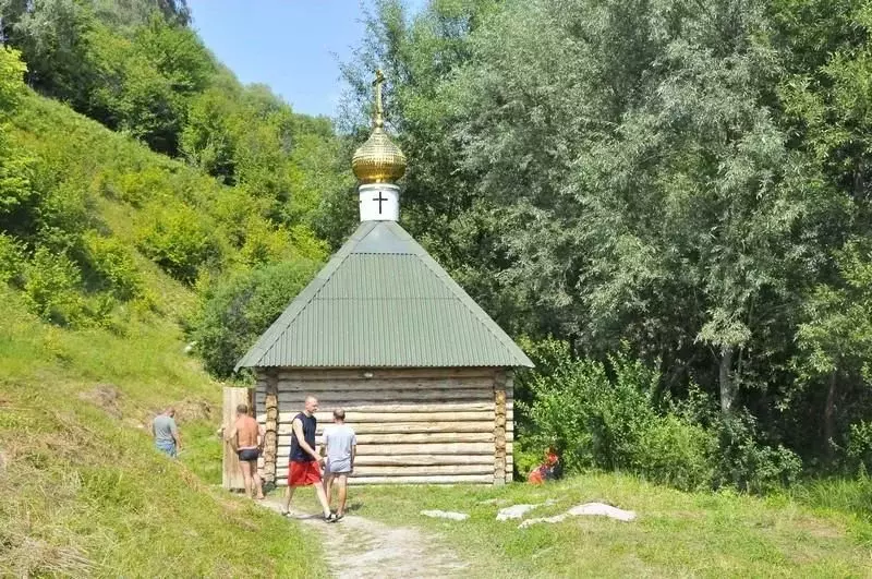 Дом в Брянская область, Навлинское городское поселение, с. ... - Фото 1