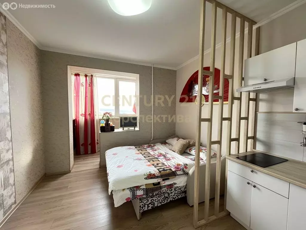 Квартира-студия: деревня Островцы, улица Лётчика Волчкова, 4 (26 м) - Фото 1