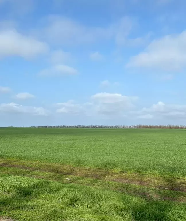 Участок в Ростовская область, Аксай ул. Павла Примакова, 17 (4.0 сот.) - Фото 1