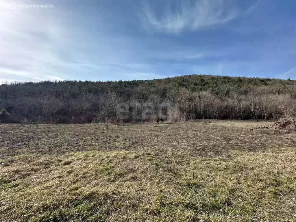 Участок в Краснодарский край, муниципальный округ Анапа, село Сукко (7 ... - Фото 2