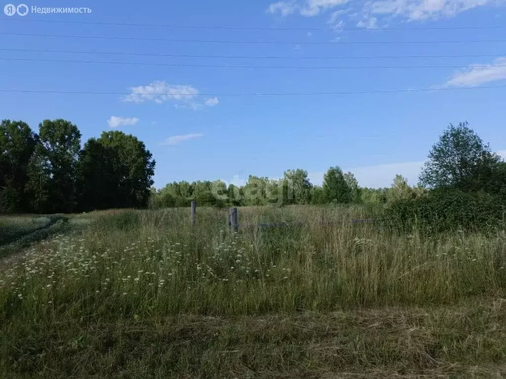 Участок в Асино, Советская улица (32.5 м) - Фото 1