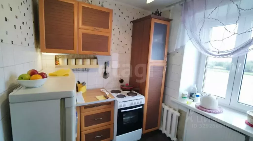 1-к кв. Алтайский край, Барнаул ул. Островского, 7 (33.0 м) - Фото 1