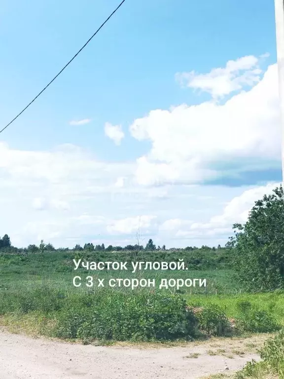 Участок в Брянская область, Брянский район, Снежское с/пос, с. ... - Фото 0