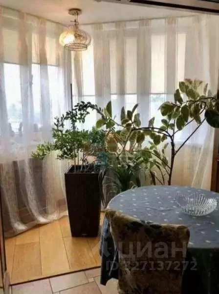 3-к кв. Белгородская область, Шебекино ул. 50 лет Октября, 11 (77.9 м) - Фото 1