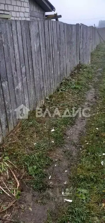 Участок в Ленинградская область, Волосовский район, Рабитицкое с/пос, ... - Фото 1