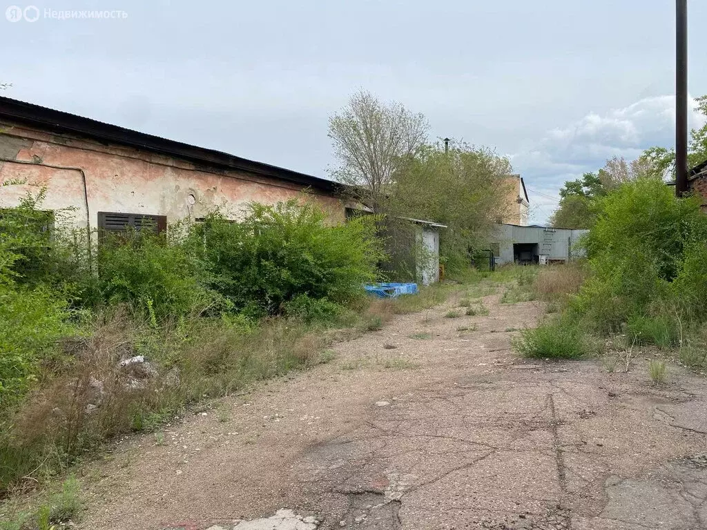 Помещение свободного назначения (1100 м) - Фото 0