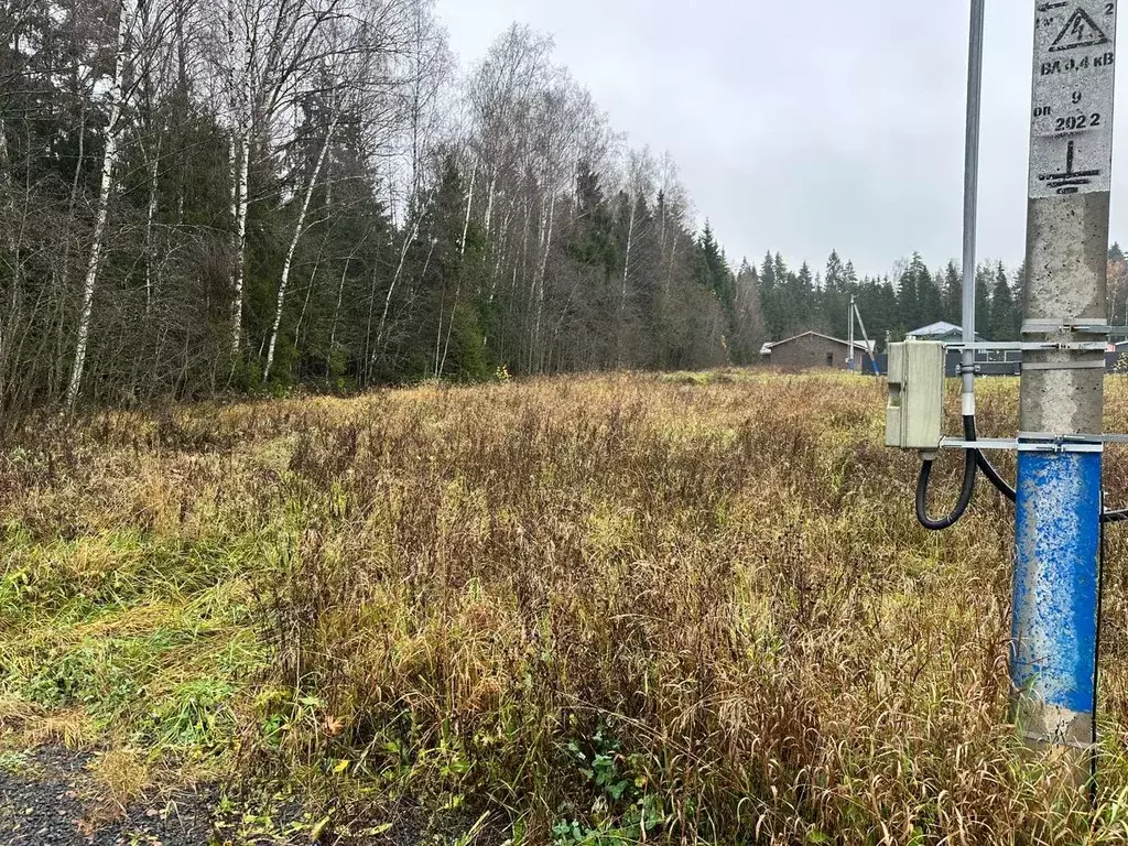 Участок в Московская область, Солнечногорск городской округ, Дачной ... - Фото 1